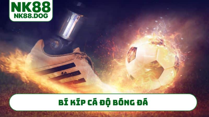 bi-kip-ca-do-bong-da