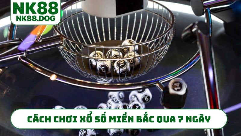 Cách chơi xổ số miền Bắc qua 7 ngày