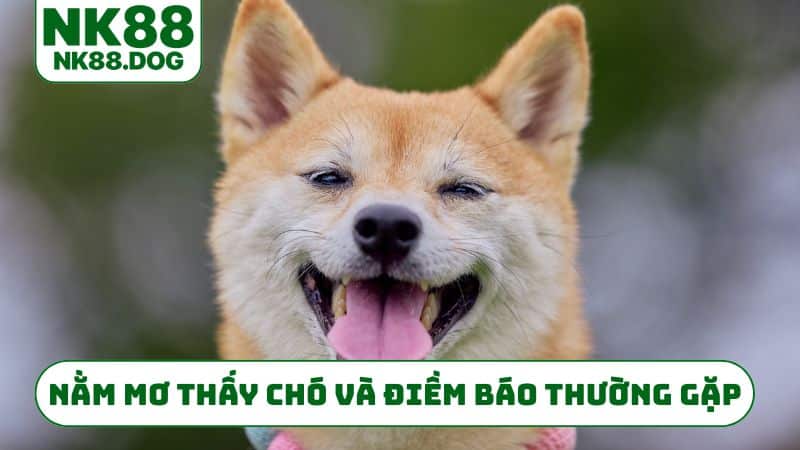 Nằm mơ thấy chó và điềm báo thường gặp