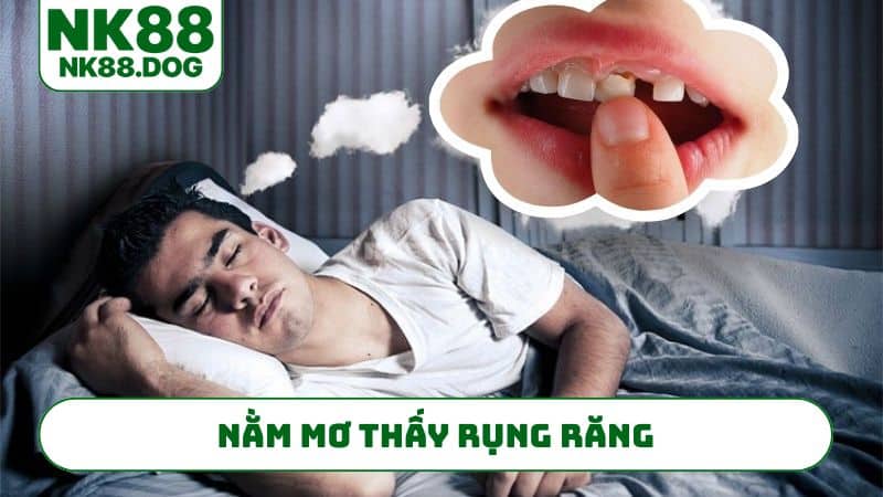 nam-mo-thay-rung-rang