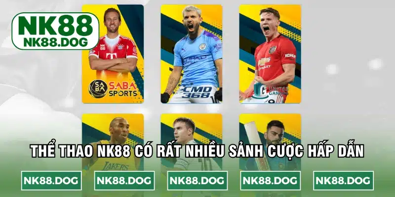 Nền tảng sở hữu hệ thống sảnh cược cực khủng