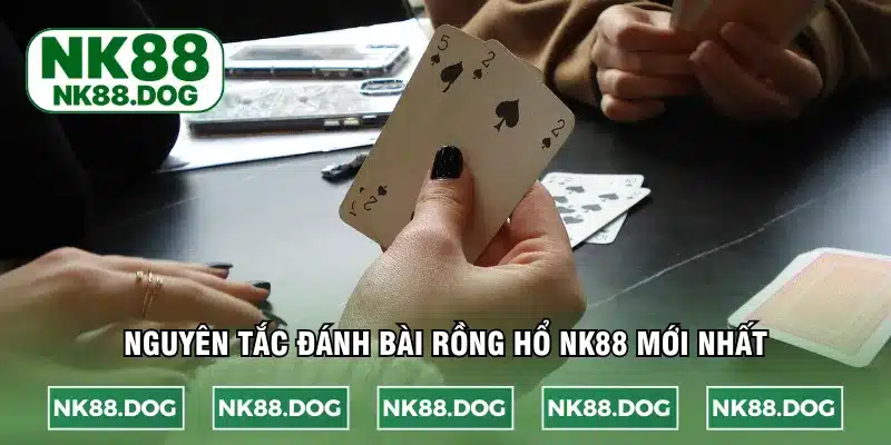 Nguyên tắc đánh bài rồng hổ NK88 mới nhất