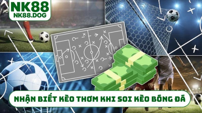 Nhận biết kèo thơm khi soi kèo bóng đá